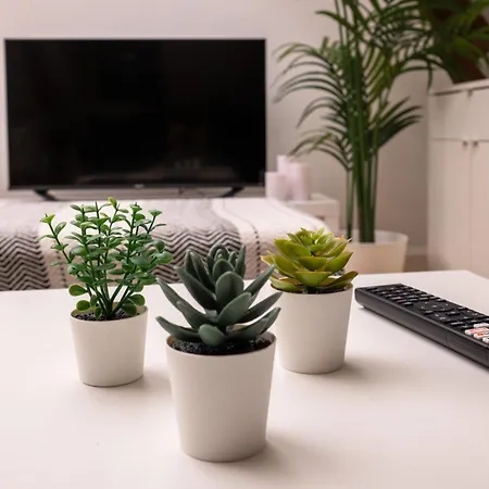 L'azur / 100m Gare * Tours