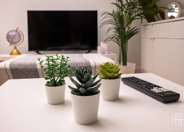 L'azur / 100m Gare * Tours